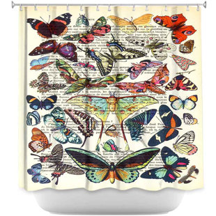 butterfly collection xxx Male piss video